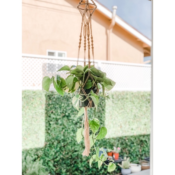 LAST ONE! Macrame Jute Rope Hanging Plant Hanger - Picture 2 of 4